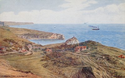 Lulworth Cove dall